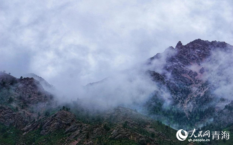 云霧繚繞的柏樹(shù)山。人民網(wǎng) 況玉攝