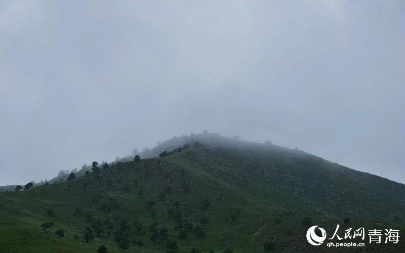 雨后的柏樹山。人民網(wǎng) 況玉攝