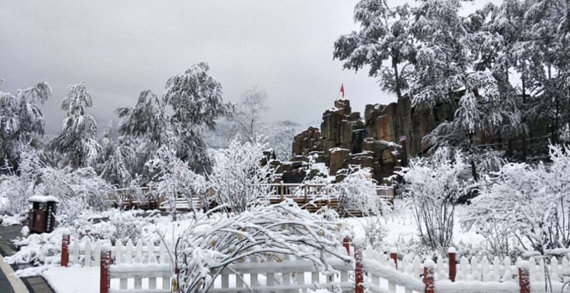 “林海雪原”卡陽。西寧市文化旅游廣電局供圖