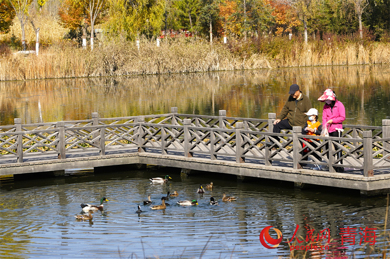 西寧市民在湟水濕地公園。人民網(wǎng)記者 甘海瓊攝