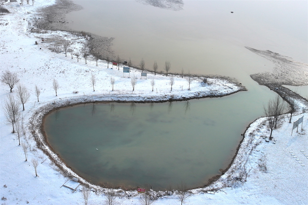 雪落黃河岸畔。李玉峰攝