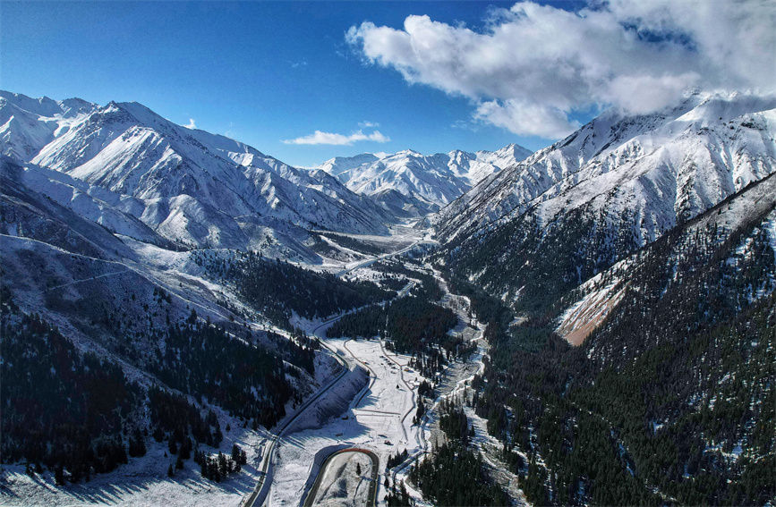 春雪覆蓋高山和森林。安雪姣攝