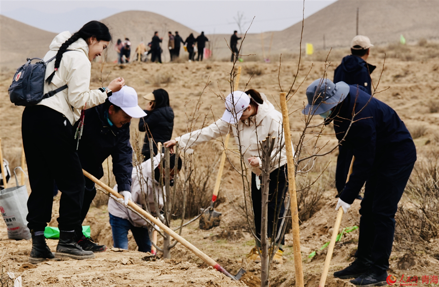 植樹活動現(xiàn)場。人民網(wǎng) 顧斐菲攝