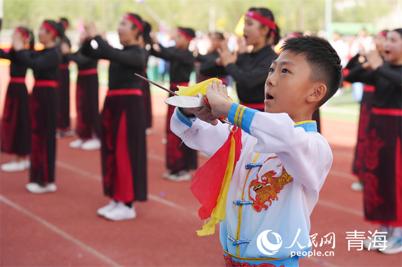 開幕式上的武術(shù)表演。人民網(wǎng)記者 張莉萍攝