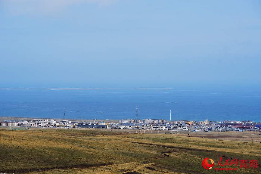 水鳥棲息繁殖地——青海湖。人民網(wǎng) 陳明菊攝