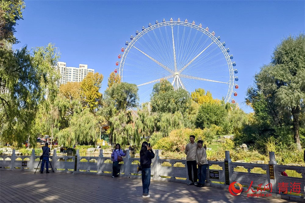 市民在公園欣賞秋景并拍照打卡。人民網(wǎng) 馬可欣攝