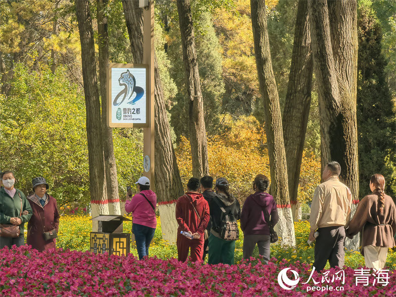 在“雪豹之都”西寧，市民欣賞秋景。人民網(wǎng) 馬可欣攝